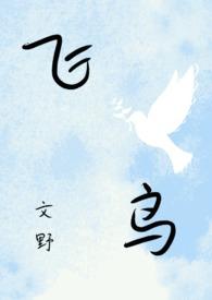 【文豪野犬】飞鸟