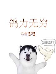 鸽力无穷