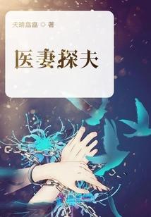 医妻探夫