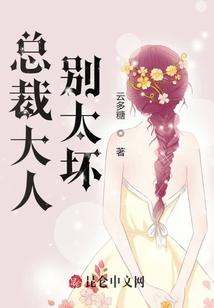 总裁大人别太坏！