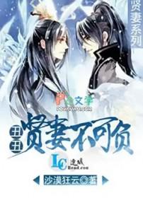 丑丑贤妻不可负