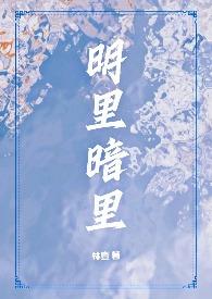 明里暗里（1v2，兄弟盖饭）