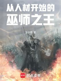 从人材开始的巫师之王