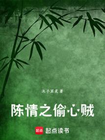 陈情之偷心贼