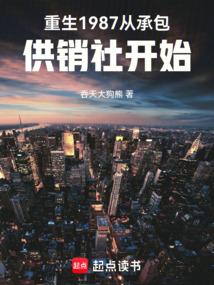 重生1987：从承包供销社开始