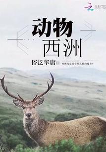 动物西洲
