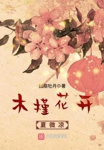 木槿花开夏微凉