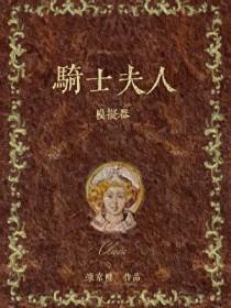 骑士夫人模拟器