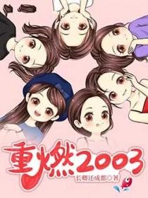 重燃2003