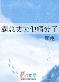 霸总丈夫他精分了