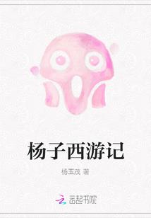 杨子西游记