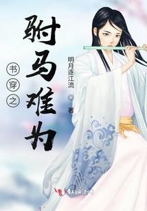 书穿之驸马难为