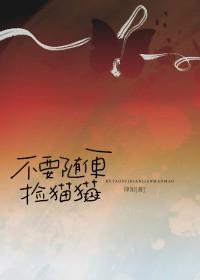 不要随便在路边捡猫猫