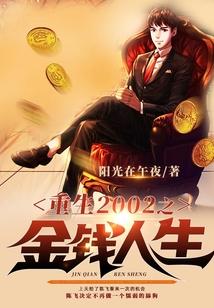 重生2002之金钱人生