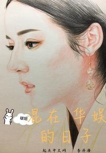 混在华娱的日子