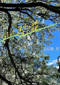 小梨花（校园h&amp;nbsp