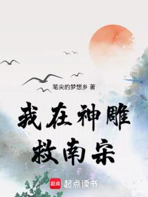 我在神雕救南宋